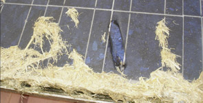 Photovoltaik Modul verschmutzt
